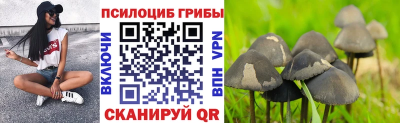 Купить  Минеральные Воды  Галлюциногенные грибы мухоморы 